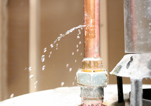 Garbage Disposal Sandy Springs Garbage Disposal Sandy Springs